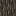 Amberoot Log