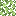 Skyroot Leaves