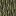 Skyroot Log