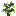 Skyroot Sapling