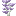 Wisptop Sapling