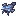 Zephyr Husk