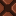 Brown Zoea Base