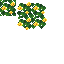 Bushy Dandelion Ivy Leaves