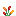 Celosia
