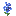 Delphinium