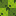 Lime Wallpaper