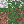 Orange Grass Block