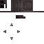 Dragon Guard Shield