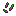 Crystal Fruit Seeds