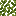 Crabapple Leaves