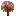 Crabapple Sapling