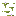 Poplar Flower Carpet