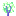 Fluorescent Maple Sapling