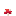 Fly Agaric Mushroom