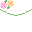 Blossom Garland