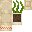 Seaweed Planter