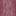 Bronchus