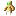 Totemic Capacitor