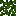 Struck Leaves