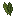 Шалфей