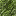 Peridotite