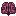 Brain