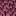 Wasted Log