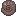 Ammonite Shell