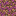 Purified Dirt