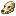 Starved Wolf Skull