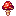Suspicious Mushroom