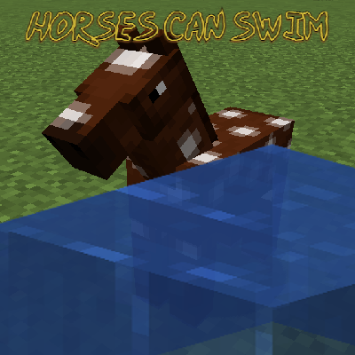 Horses can Swim