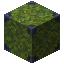 Moss Block 2x