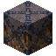 Mycelium 5x