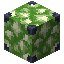 Raw Uranium Block 2x