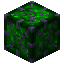 Green Xychorium Gem Storage 7x