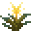 Sparkflower