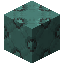 Vena 11