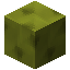 Zane 1