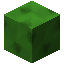 Zane 3