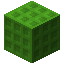 Zeno Green 18 (CTM)