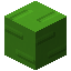 Zeno Green 19 (CTM)