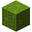 Zeno Lime 16