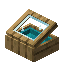Cyan Oak Display Case