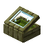 Green Cypress Display Case