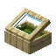 Green Palm Display Case