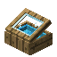 Light Blue Alpha Display Case
