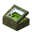 Lime Jinglestem Display Case