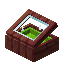 Lime Mangrove Display Case